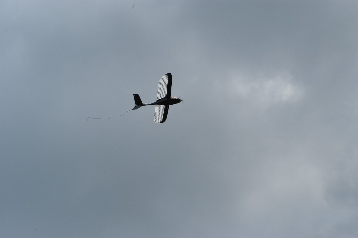 Eglin MAV with 21 inch wingspan