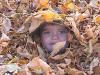 Reece in the Leaves