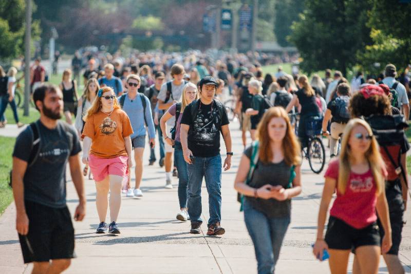 A large group of Students walking on campus