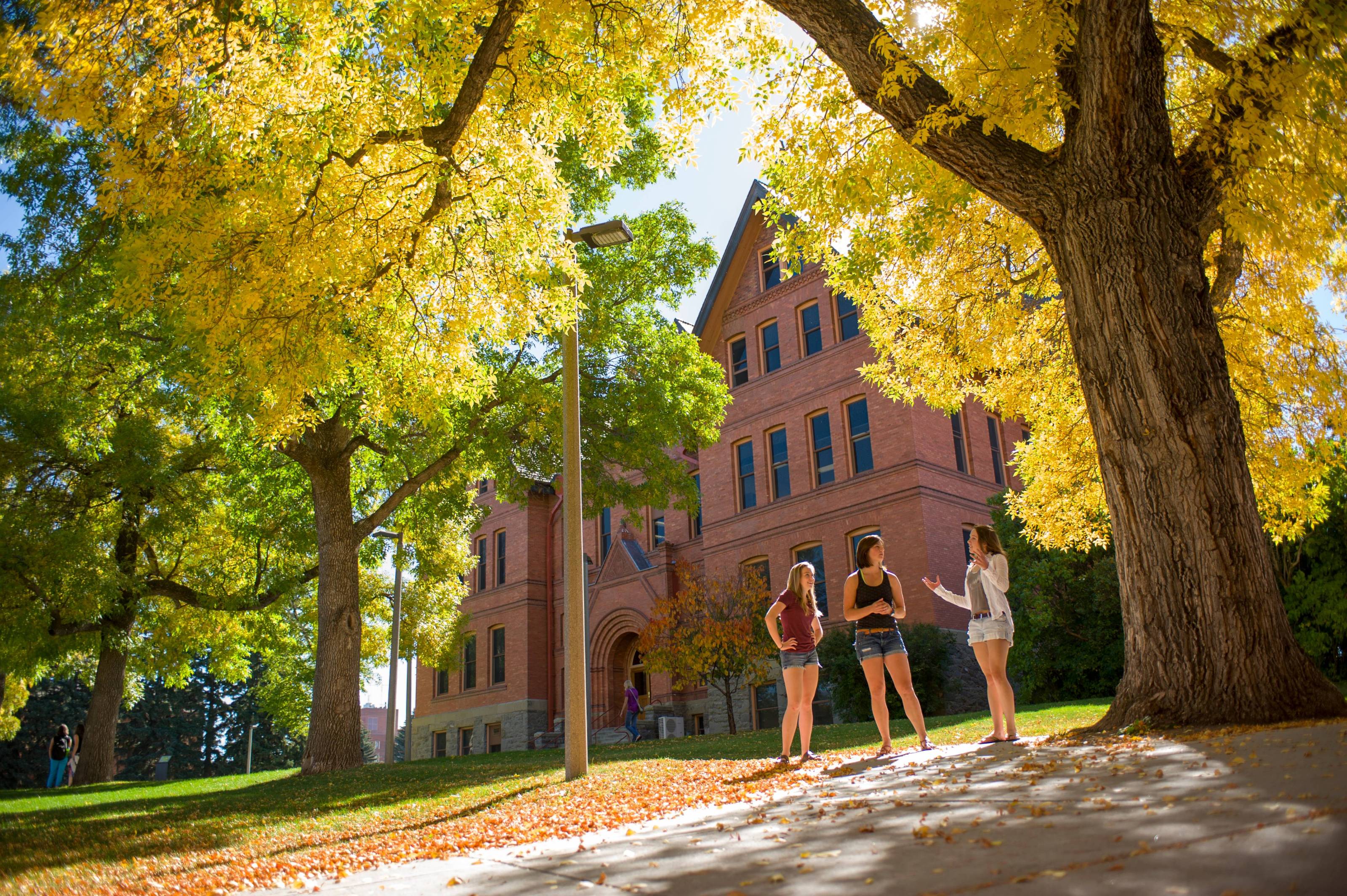 Students Outside of MT Hall